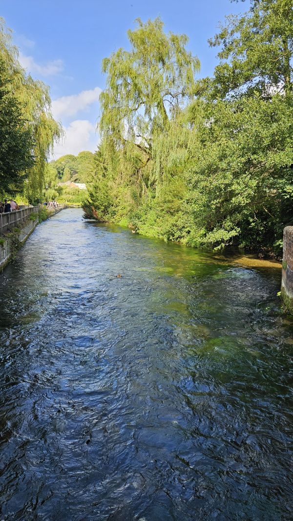 River Itchen